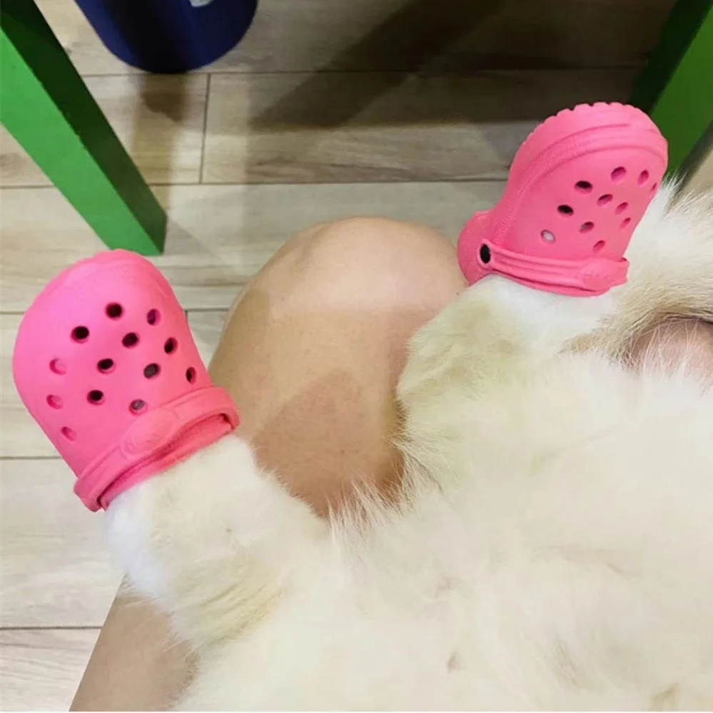 Miniature Crocs (Cat Crocs) - Picture 3 of 6